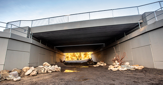 wildlife_crossing_uplands